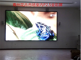 青州花卉交易市場室內P2.5全彩屏
